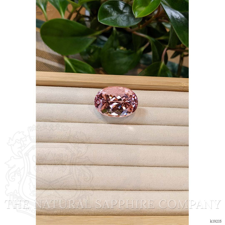 68.55 Ct. Morganite from Brazil