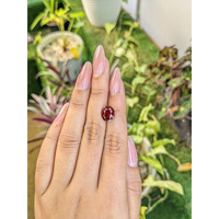 3.82 Ct. Garnet from Ceylon (Sri Lanka) Life Style