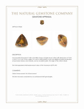 19.88 Ct. Orangish Brown Citrine from Brazil Appraisal