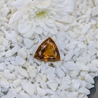 19.88 Ct. Citrine from Brazil Life Style