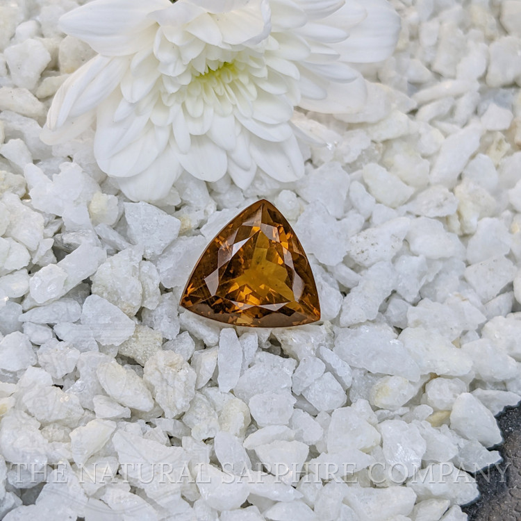 19.88 Ct. Citrine from Brazil