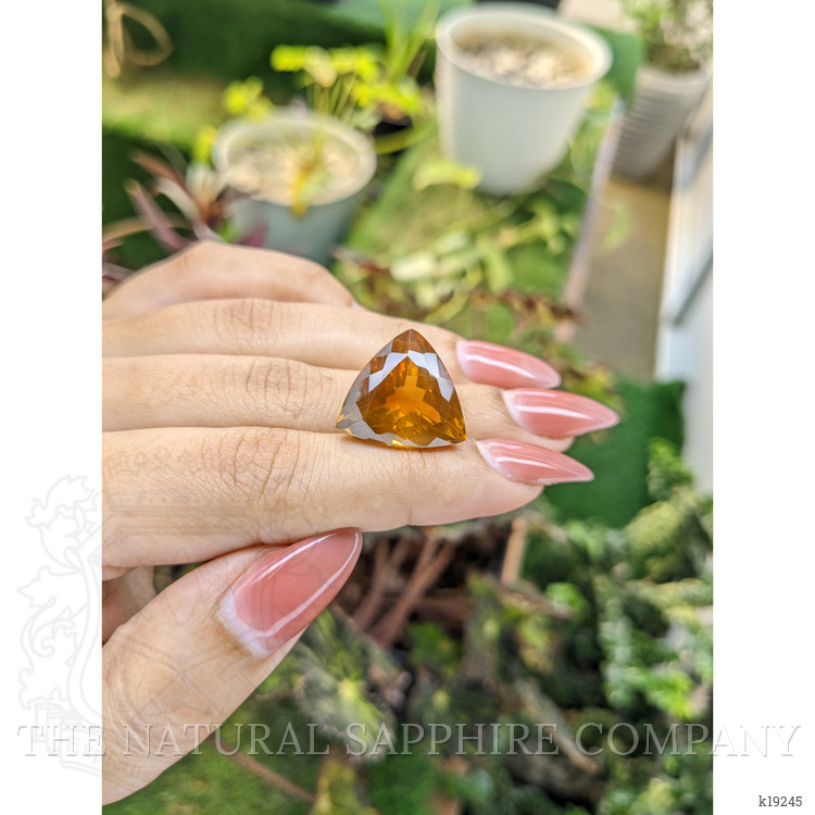 19.88 Ct. Citrine from Brazil