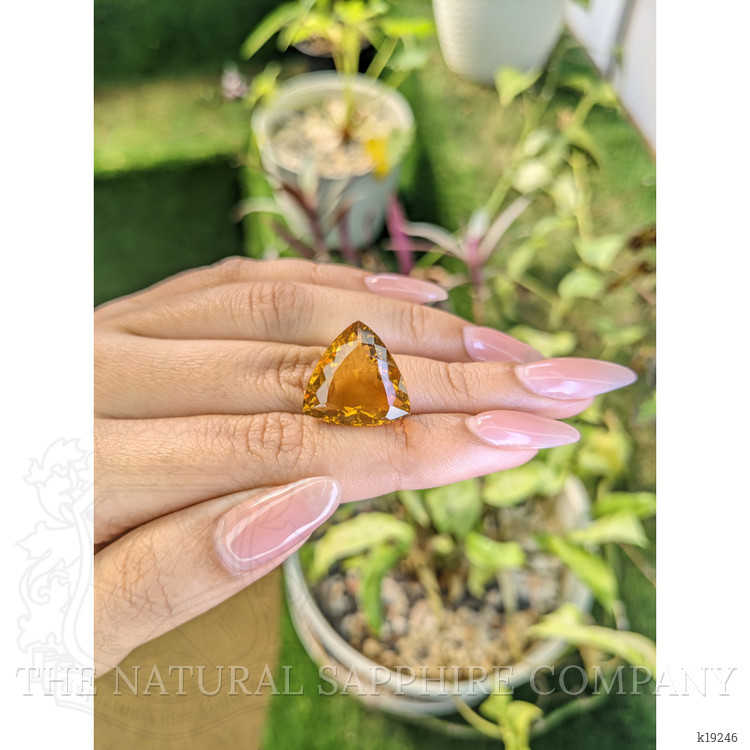 18.27 Ct. Citrine from Brazil