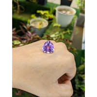 14.58 Ct. Amethyst from Brazil Life Style