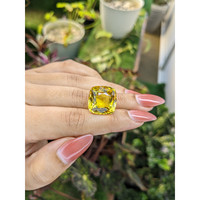 19.62 Ct. Citrine from Brazil Life Style