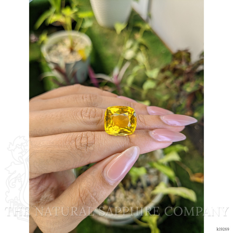 17.32 Ct. Citrine from Brazil