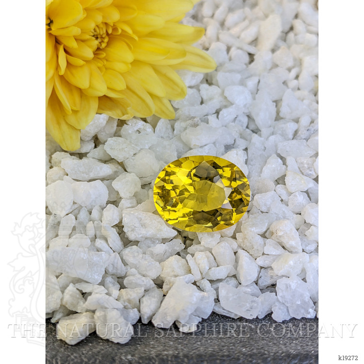 19.72 Ct. Citrine from Brazil