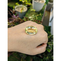 31.39 Ct. Quartz from Brazil Life Style