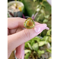 19.13 Ct. Quartz from Brazil Life Style