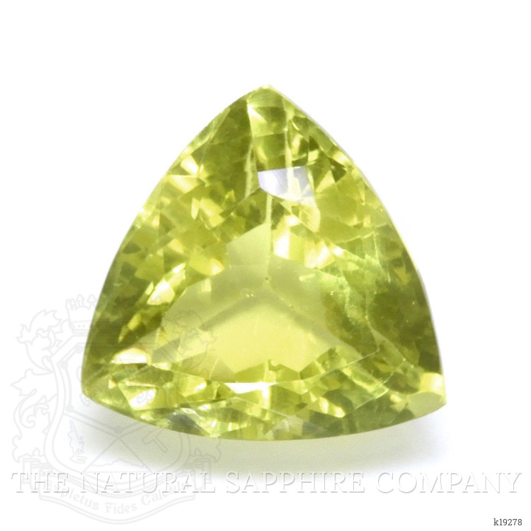 16.63 Ct. Topaz from Brazil