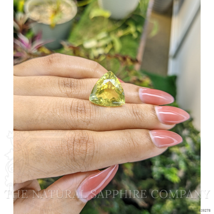 16.63 Ct. Topaz from Brazil