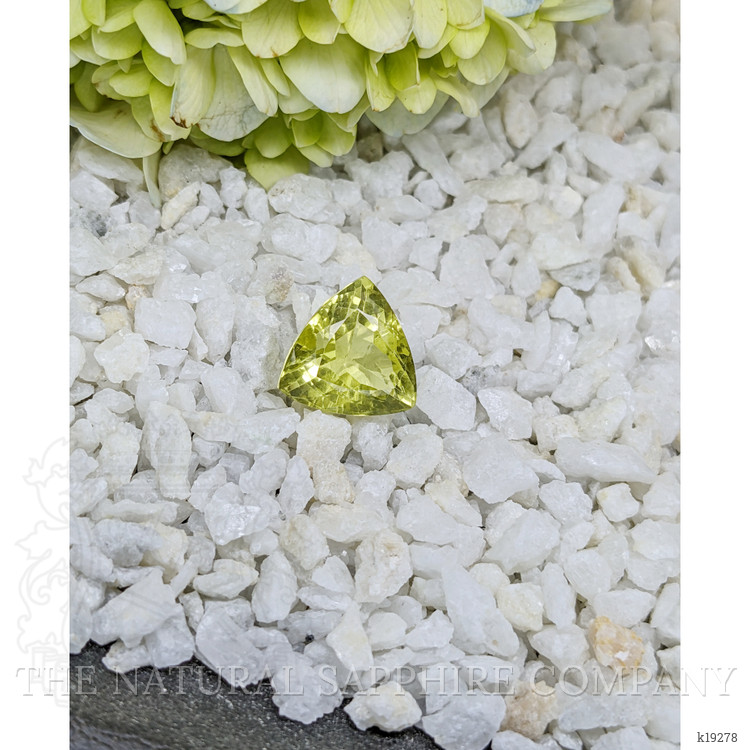 16.63 Ct. Topaz from Brazil