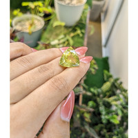 16.63 Ct. Quartz from Madagascar Life Style