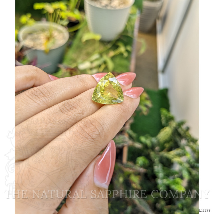 16.63 Ct. Topaz from Brazil