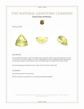 12.80 Ct. Yellow Quartz from Madagascar Appraisal
