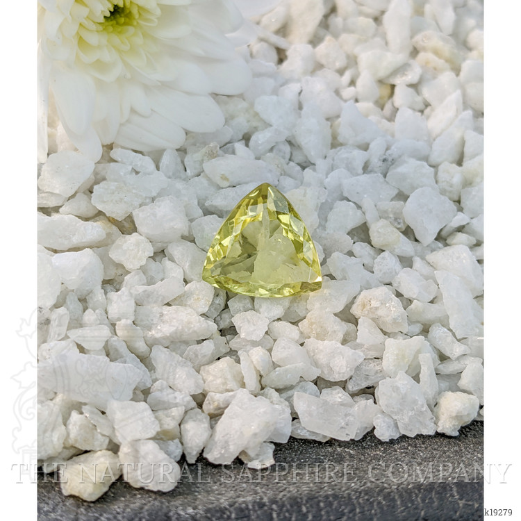 12.80 Ct. Topaz from Brazil