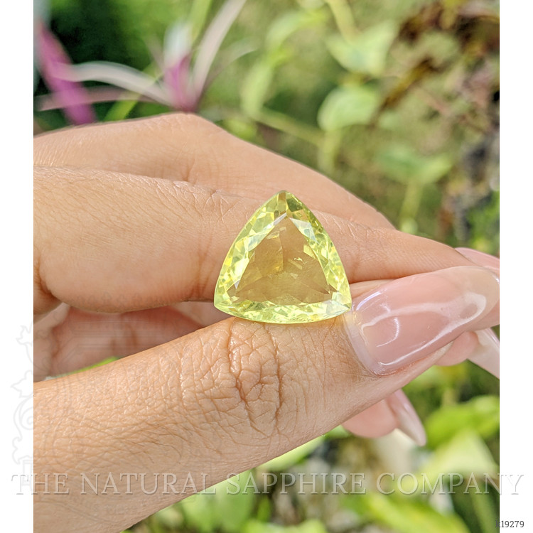 12.80 Ct. Topaz from Brazil