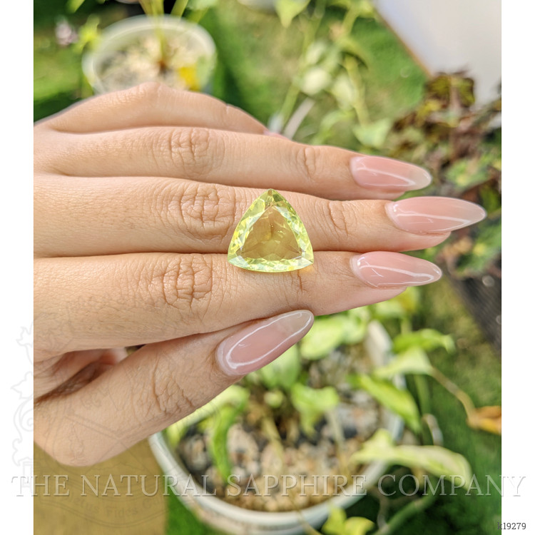 12.80 Ct. Topaz from Brazil