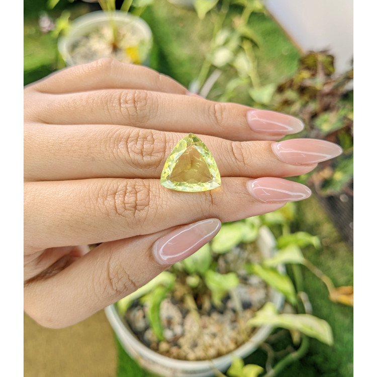 12.80 Ct. Topaz from Brazil