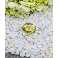 27.49 Ct. Topaz from Brazil Life Style