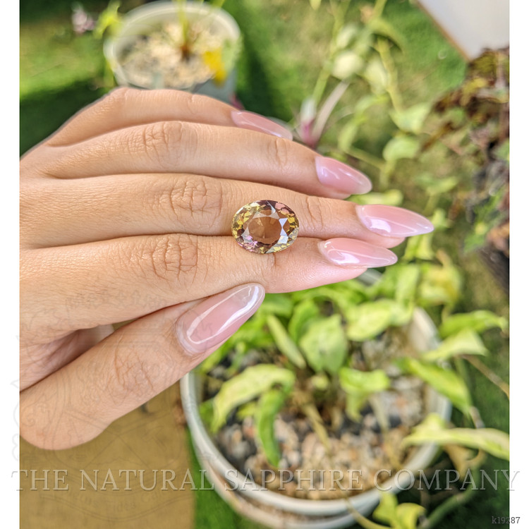 8.63 Ct. Ametrine from Ceylon (Sri Lanka)