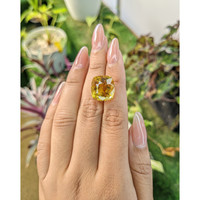 13.86 Ct. Citrine from Brazil Life Style