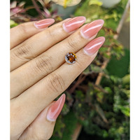 2.21 Ct. Tourmaline from Ceylon (Sri Lanka) Life Style