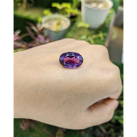 10.82 Ct. Amethyst from Ceylon (Sri Lanka) Life Style