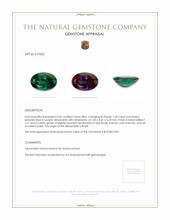 1.00 Ct. Alexandrite from Brazil Appraisal