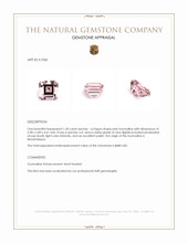 1.20 Ct. Pink Tourmaline from Mozambique Appraisal