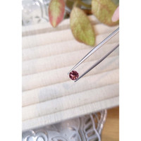 0.79 Ct. Tourmaline from Mozambique Life Style