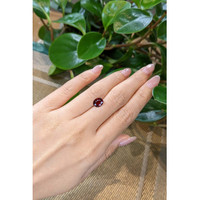 1.99 Ct. Garnet from Madagascar Life Style