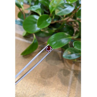 1.99 Ct. Garnet from Madagascar Life Style