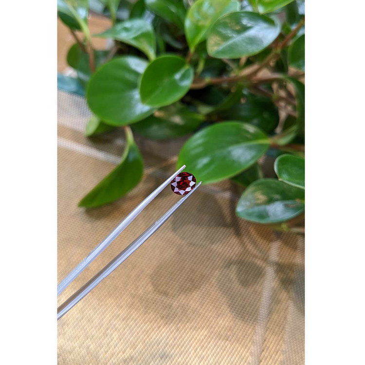 1.99 Ct. Garnet from Madagascar