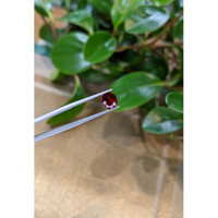 2.57 Ct. Garnet from Madagascar Life Style