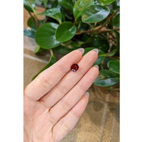 2.57 Ct. Garnet from Madagascar Life Style