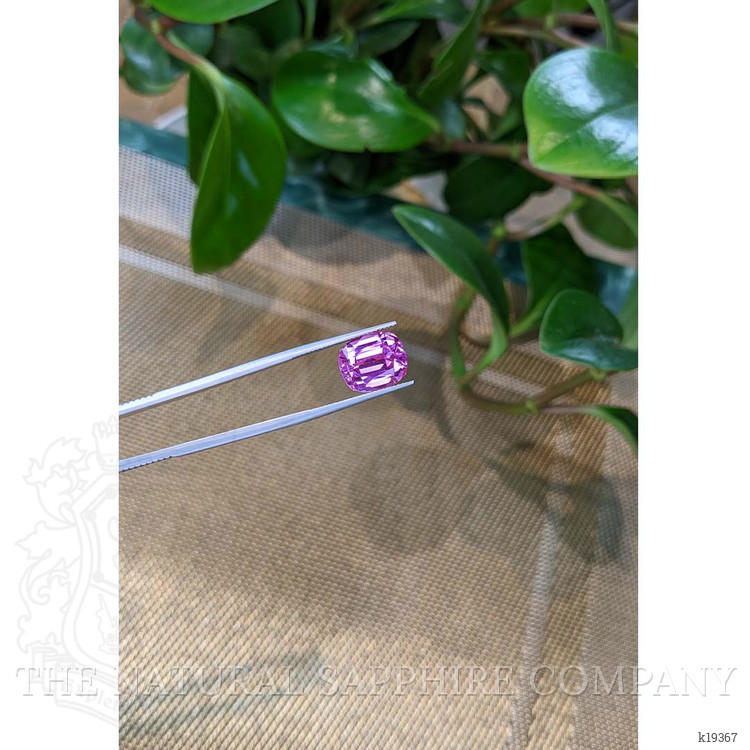 9.34 Ct. Kunzite from Afghanistan