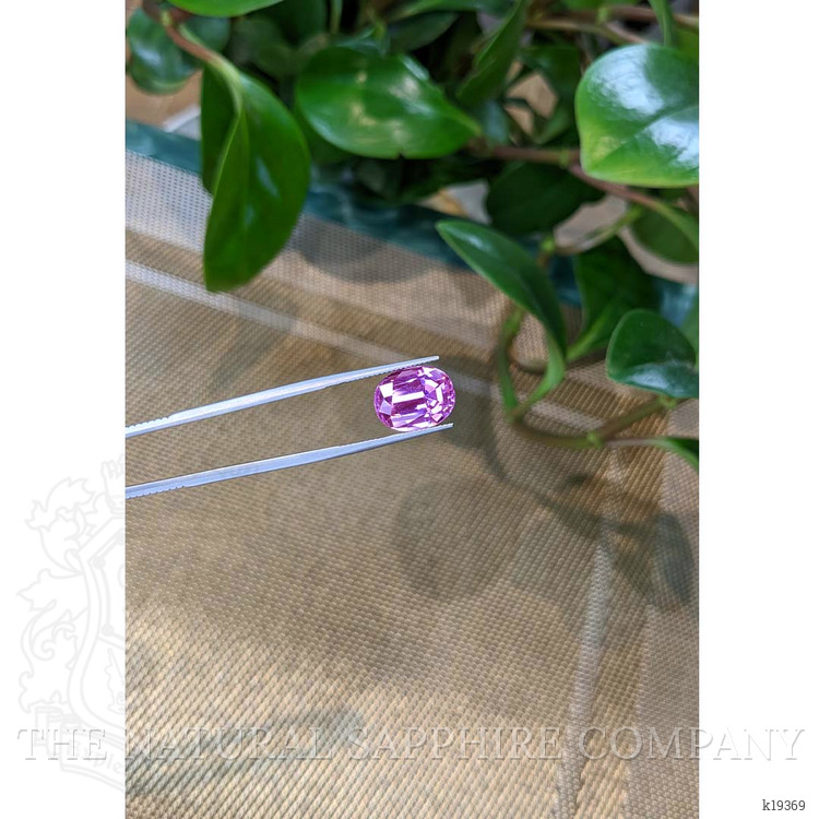 10.42 Ct. Kunzite from Afghanistan
