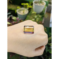 16.57 Ct. Ametrine from Ceylon (Sri Lanka) Life Style