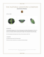 1.07 Ct. Green Tourmaline from Ceylon (Sri Lanka) Appraisal