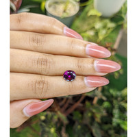 2.63 Ct. Garnet from Ceylon (Sri Lanka) Life Style