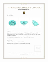 1.48 Ct. Paraiba Tourmaline from Mozambique Appraisal