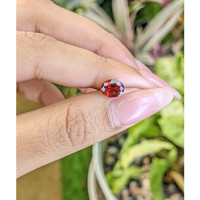 1.47 Ct. White Opal from Ceylon (Sri Lanka) Life Style