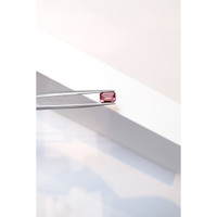 2.04 Ct. Tourmaline from Mozambique Life Style