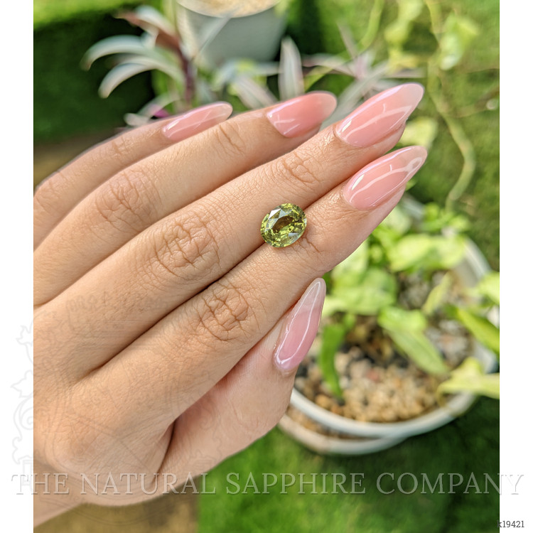 2.70 Ct. White Opal from Ceylon (Sri Lanka)