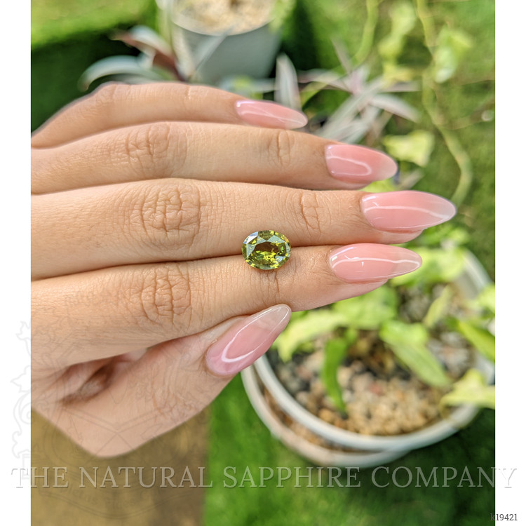 2.70 Ct. White Opal from Ceylon (Sri Lanka)