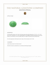 5.60 Ct. Green Cabochon Jade from Burma (Myanmar) Appraisal