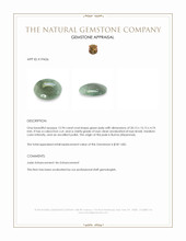 12.94 Ct. Green Cabochon Jade from Burma (Myanmar) Appraisal