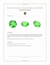 1.05 Ct. Tsavorite Garnet from Kenya Appraisal