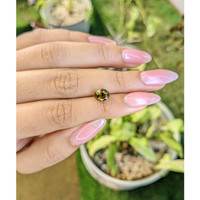 1.83 Ct. Tourmaline from Ceylon (Sri Lanka) Life Style